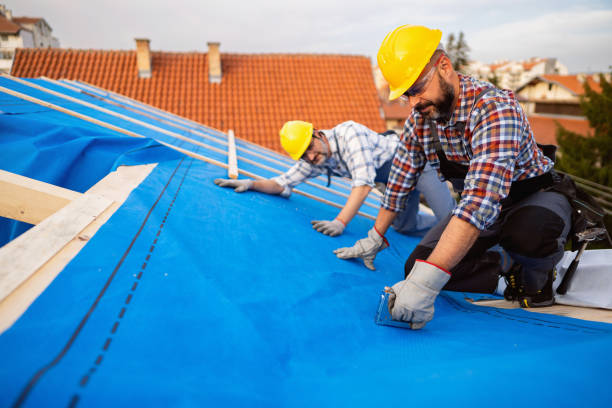 Best Metal Roofing Contractor  in Portage, MI