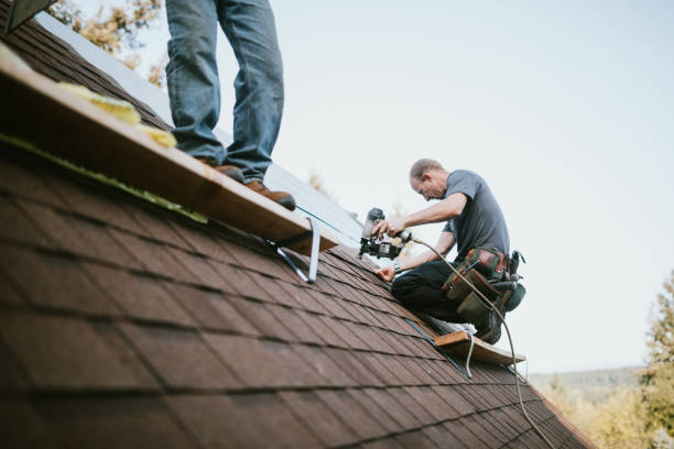 Best Roof Leak Repair  in Portage, MI